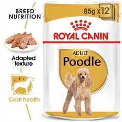 Royal Canin Breed Health Nutrition Poodle Adult Wet Dog Food - 12x85g Pouches